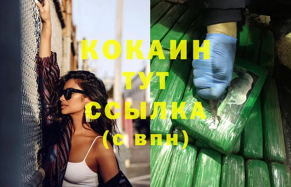 стаф Балахна