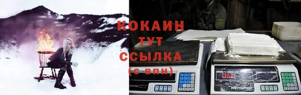 стаф Балахна