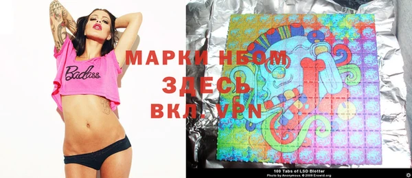 стаф Балахна