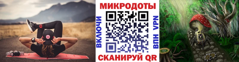 магазин    МЕГА маркетплейс  Псилоцибиновые грибы Psilocybine cubensis  Короча 